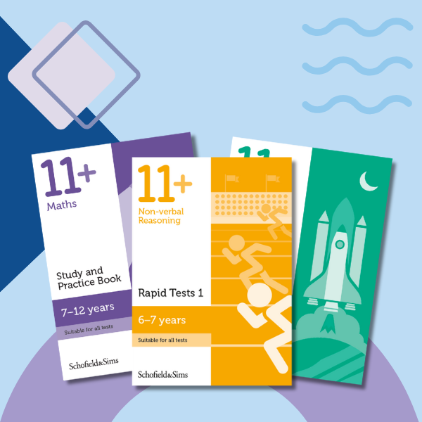 11 plus revision and practice
