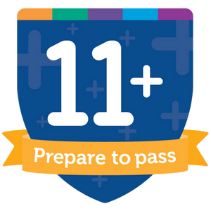 11 plus