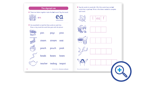 Year 1 workbook activities