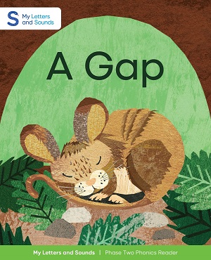 A Gap: My Letters and Sounds Phase Two Phonics Reader